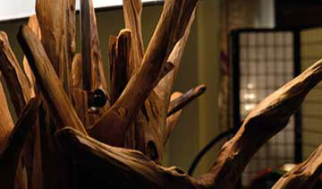 Wimpernverlängerung Volumentechnik